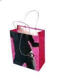 Gift Shopping Paper Bags (HF-EV0030)