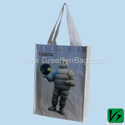 Non Woven Shopping Bag (GS-PPNB-022)