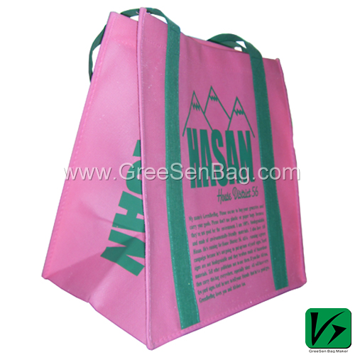 Non Woven Shopping Bag (GS-PPNB-004)