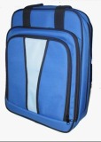 Laptop Backpack (D-346)