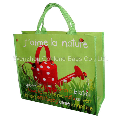 Recycle Shopping Bag (KLY-PP-0144)
